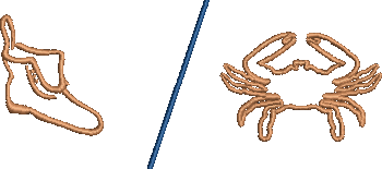 The Avenue Embroidery